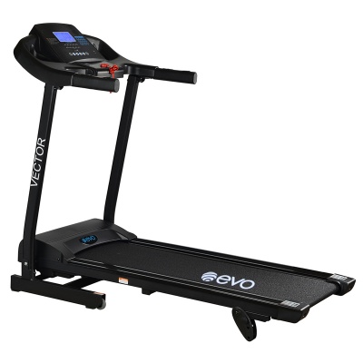     Evo Fitness Vector