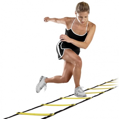  SKLZ Quick Ladder