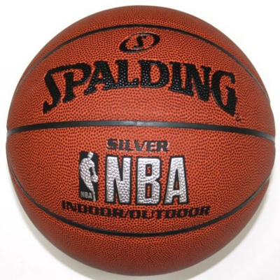   Spalding Silver   NBA