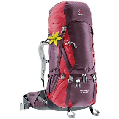   Deuter Aircontact 60+10 SL aubergine-cranberry