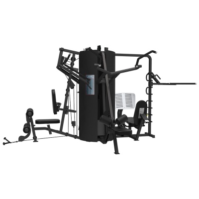  Bronze Gym LD-9090