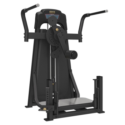   Bronze Gym LD-9011