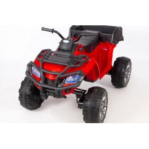  Barty Grizzly Next 009
