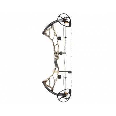    Bowtech BT-X 31