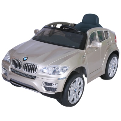  Farfello JJ258 BMW X6 (, 12V, , EVA, ) ( )