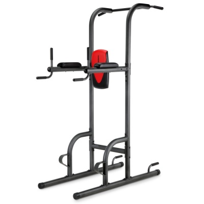 -- WEIDER Power Tower