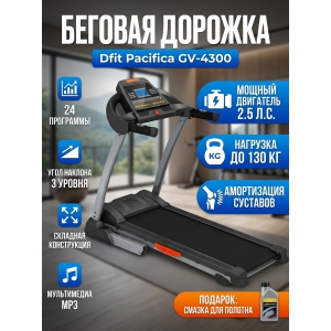 ������� ������� ��� ���� Dfit Pacifica GV-4300