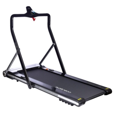     Evo Fitness X 450