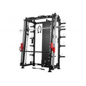   DFC Powergym D822