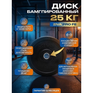 ���� ZIVA Pro F� 25 ��