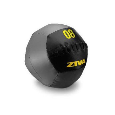  ZIVA Wall Ball ZVO-FTWB-18-01