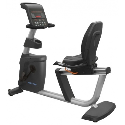  Bronze Gym R1001 Pro