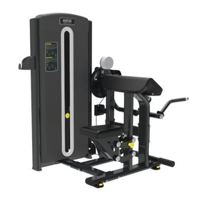    Bronze Gym M5-06/07 DUAL