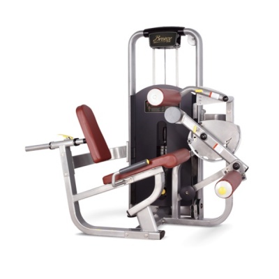   BRONZE GYM MV-013