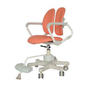 Ортопедическое кресло для школьника Duorest Duokids DR-280DDS Mild