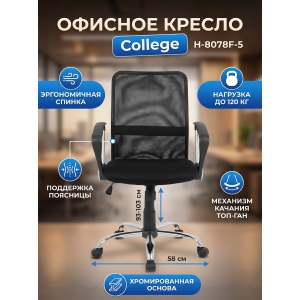 ������ ��� ��������� College H-8078F-5