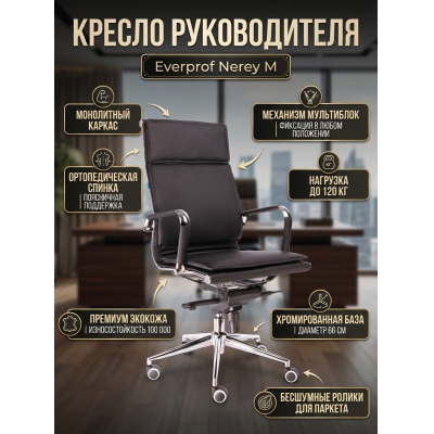 ������ ��� ��������� Everprof Nerey M �������