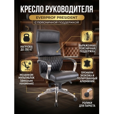 ������ ��� ������������ Everprof President �������