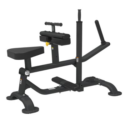   Bronze Gym PL-1719