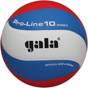 Волейбольный мяч Gala Pro-Line 10 р.5