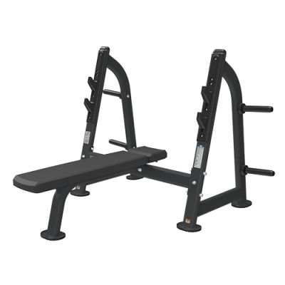      Bronze Gym BR-1012