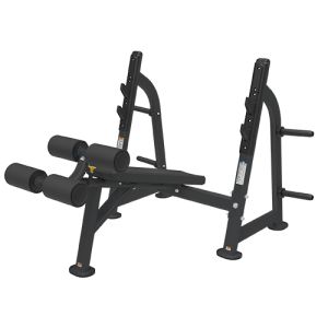      Bronze Gym BR-1013