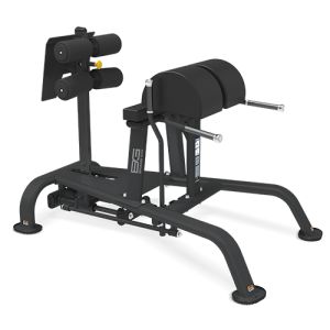     Bronze Gym BR-1018