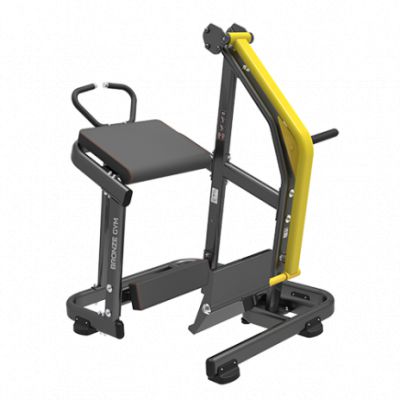   Bronze Gym PL-1710