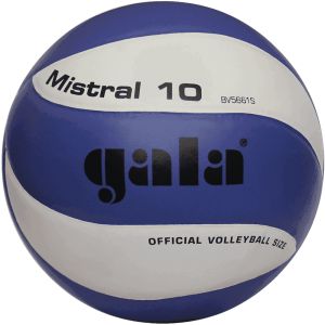 Волейбольный мяч Gala Mistral 10 р.5