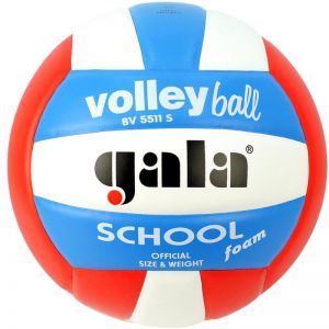 Волейбольный мяч Gala School Foam Сolour р.5