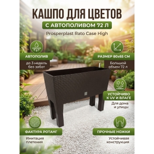 ����� ��� ������ Prosperplast Rato Case High