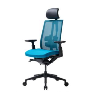 Эргономичное кресло Duorest D3-HS черный корпус