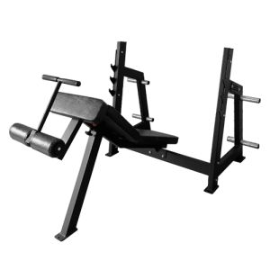      Bronze Gym AL-306