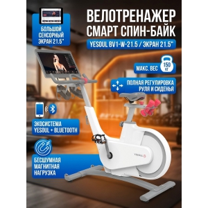 ����-���� Yesoul BV1-W-21.5 �����