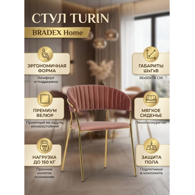 ������� Bradex Home Turin � �������� �������