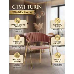 ������� Bradex Home Turin � �������� �������