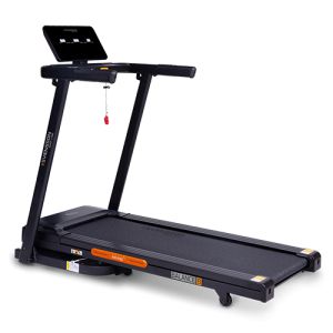     Svensson Body Labs Balance B