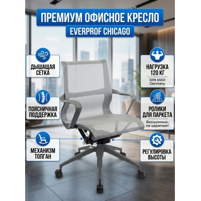 ������ ��� ��������� Everprof Chicago