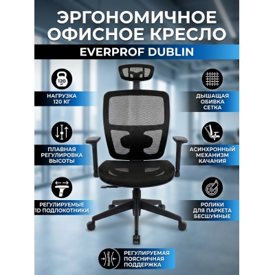 ������ ��� ��������� Everprof Dublin