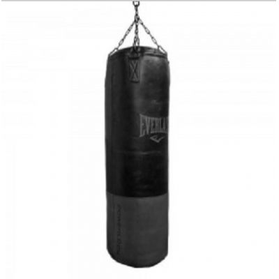    Everlast Powerlock Pro   