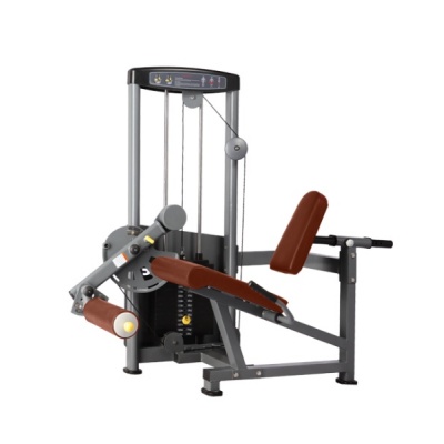     BRONZE GYM D-014