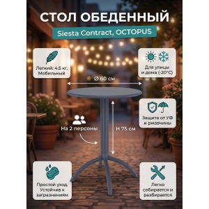 ���� ��� ���� Siesta Contract Octopus