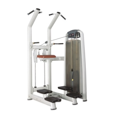   BRONZE GYM A9-008 