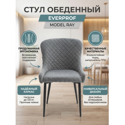 ������� Everprof Ray �����