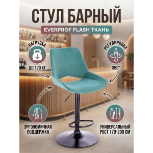 ������� Everprof Flash �����