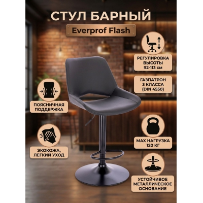 ������� Everprof Flash �������