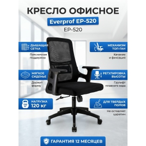 ������ ��� ��������� Everprof EP-520 �����