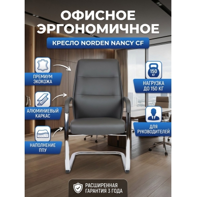 ������ ��� ����������� Norden Nancy CF