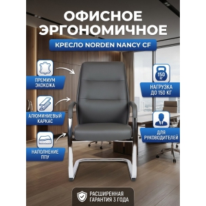 ������ ��� ����������� Norden Nancy CF