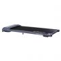    Evo Fitness Fusion gray